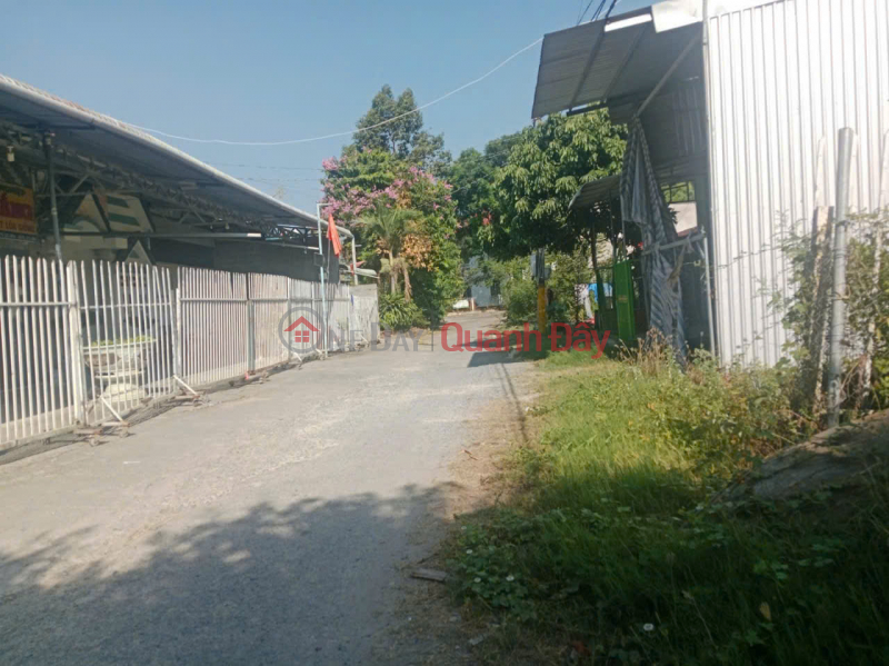 Land for sale in Lang Bien Market, Thap Muoi, Dong Thap - Area 4.5x18m, actual usable area 32m² - 100m from the old People's Committee building. Sales Listings