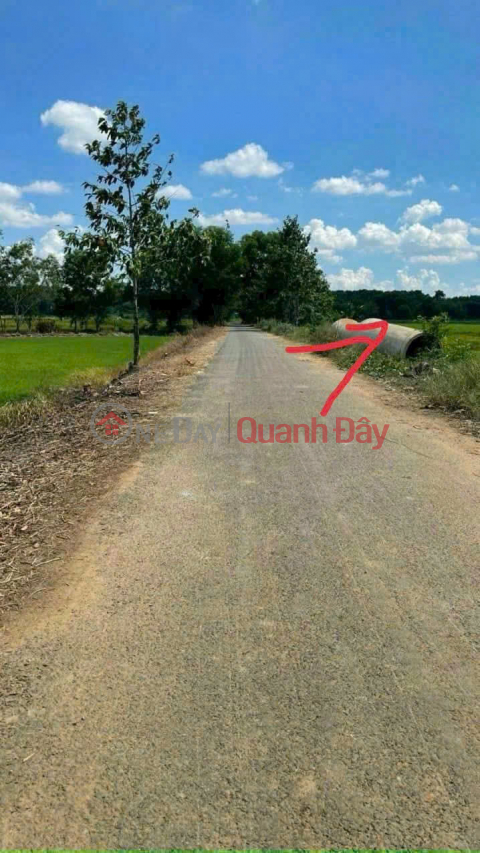 Đất Phú Hòa Đông, Củ Chi 667m2 - Mặt tiền Bưng Tràm, tiềm năng thành lô góc 2 mặt tiền, 1,9 tỷ _0