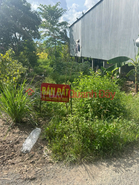 ĐẤT ĐẸP – GIÁ TỐT – CHÍNH CHỦ CẦN BÁN Tại Vĩnh An - Châu Thành - An Giang Niêm yết bán