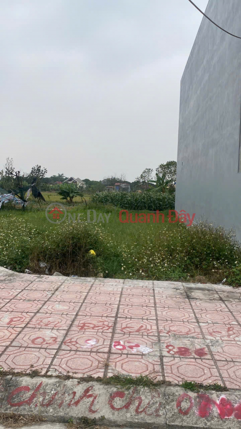 Selling combo of 3 plots of land in Hung Ha District, Area 475m2, price only 6.728 billion _0