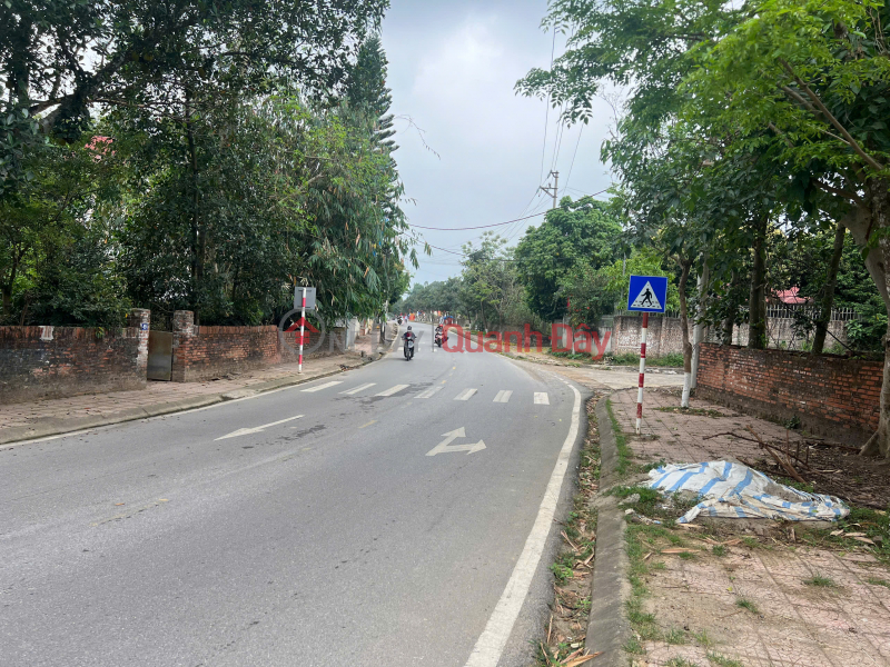 Land on the main road Pham Van Dong – Xuan Hoa Center – 200m² with a 10m frontage. | Vietnam Sales | đ 5.9 Billion