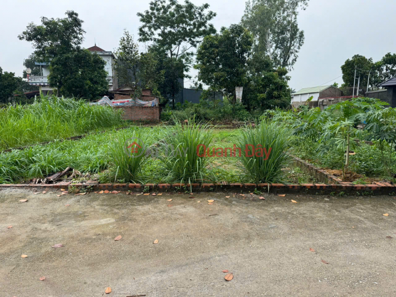 Leading the Trend - Thach Da Land, Me Linh - Central Location, Attractive Price Sales Listings