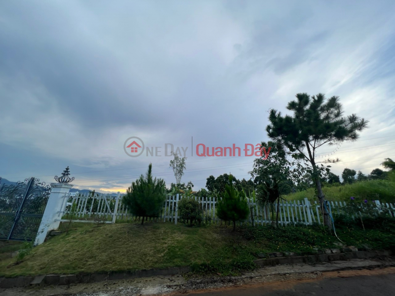 Property Search Vietnam | OneDay | Residential Sales Listings, The owner urgently sells the plot of land in a beautiful location, Loc Chau Commune, City. Bao Loc, Lam Dong province.