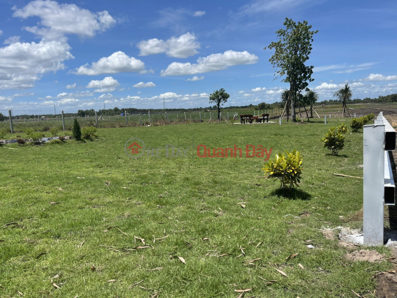 Property Search Vietnam | OneDay | | Sales Listings, Garden land for sale on Provincial Highway 7, 600m to National Highway 22, 540m2, price slightly 900 million
