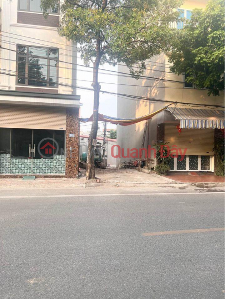 Property Search Vietnam | OneDay | Residential | Sales Listings, BUSINESS LAND FOR SALE 56.6M 23B STREET VAN TRI VAN NOI DONG ANH