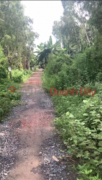 BEAUTIFUL LAND - GOOD PRICE - FOR URGENT SALE Land Plot In Binh Chanh District, HCM Sales Listings