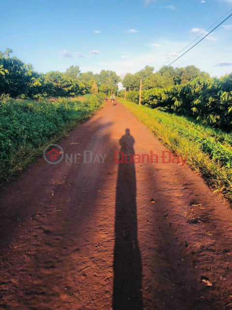 LAND FOR SALE BY OWNER - CHEAP LAND LOT, Beautiful Location In Dak Doa District, Gia Lai _0