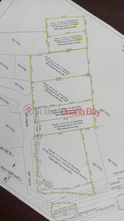 Large area land for sale - Tan Thanh Dong Commune - Residential land planning _0