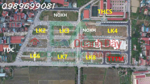 Auction land for sale in Thuy Lam commune, Dong Anh district, flower garden view _0