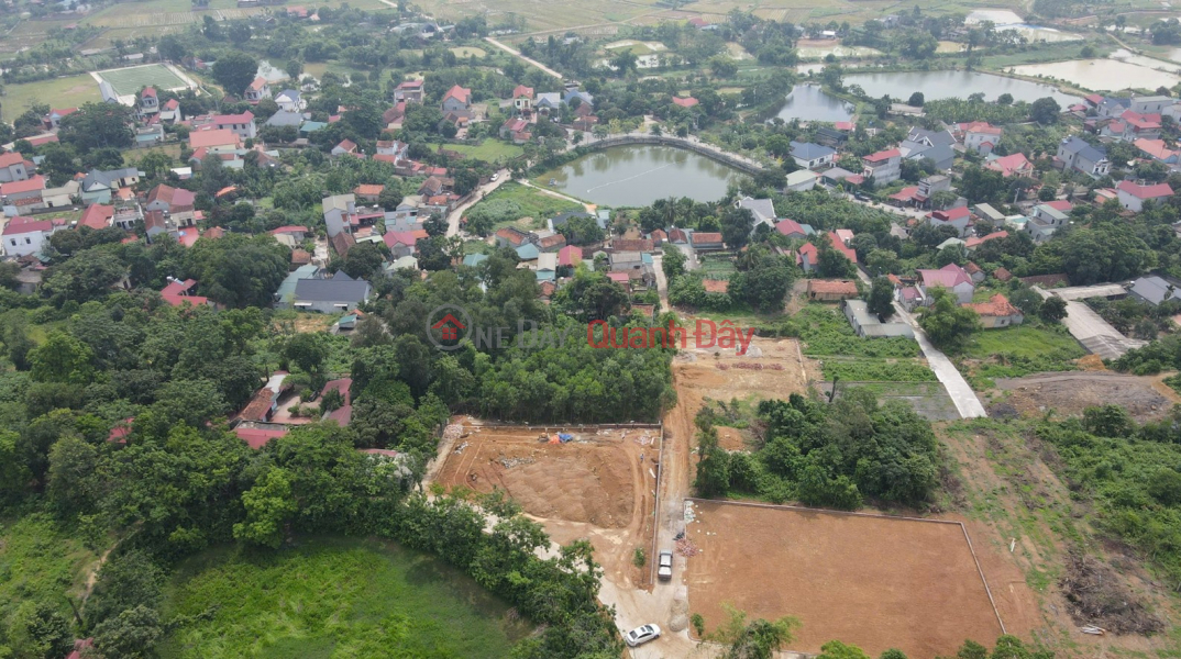 Owner sells land lot of area 232.1 m2 in Phu Son, Ba Vi, Hanoi Vietnam, Sales đ 1.35 Billion