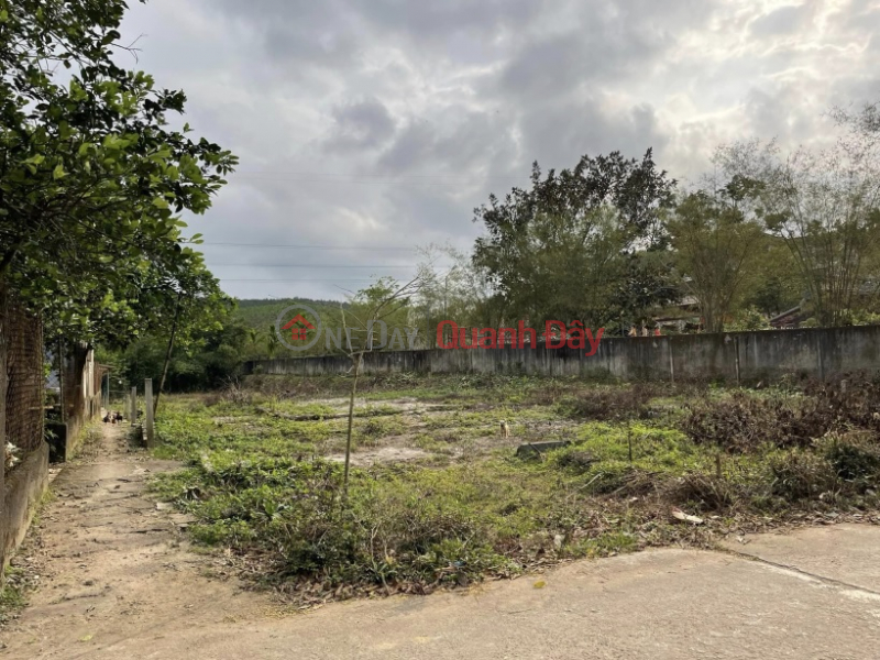 Property Search Vietnam | OneDay | Residential, Sales Listings BEAUTIFUL LAND - GOOD PRICE - OWNER FOR SALE LAND LOT IN Huong Ho Ward, Huong Tra, Thua Thien Hue
