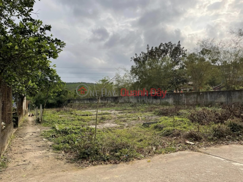 Property Search Vietnam | OneDay | Residential, Sales Listings, BEAUTIFUL LAND - GOOD PRICE - OWNER FOR SALE LAND LOT IN Huong Ho Ward, Huong Tra, Thua Thien Hue