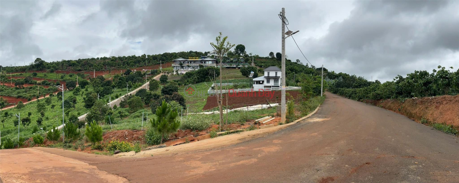 GOOD LAND - BEAUTIFUL VIEW - CHEAP PRICE - Own Resort Land Immediately In The Suburbs Of Da Lat Sales Listings