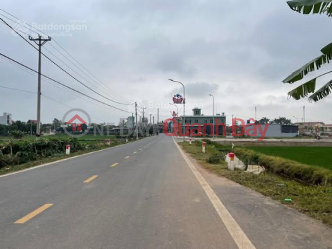 LAND FOR SALE ON THE MAIN ROAD OF QUYNH MY COMMUNE (NOW PART OF QUYNH PHU DISTRICT) - PRIME LOCATION FOR BUSINESS _0