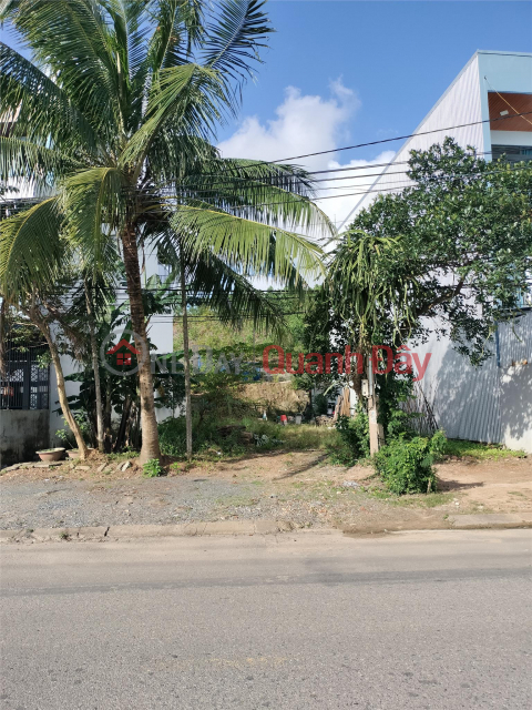 ĐẤT MẶT TIỀN ĐƯỜNG 7M5 – CẨM LỆ – GIÁ CHỈ 3,25 TỶ _0