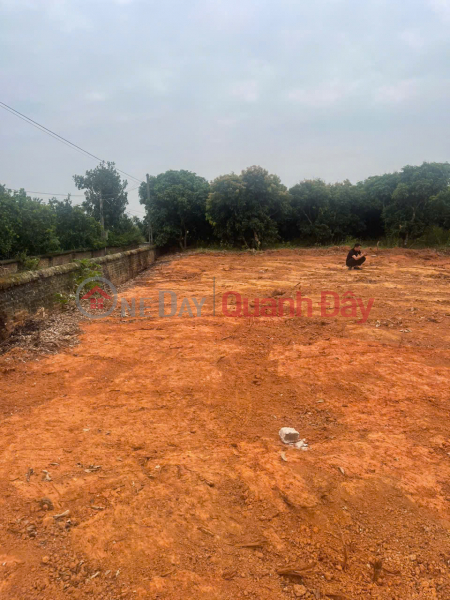 OPPORTUNITY TO OWN LAND IN CHU TOWN - BAC GIANG FROM ONLY 400-660 MILLION VND! Vietnam | Sales đ 500 Million