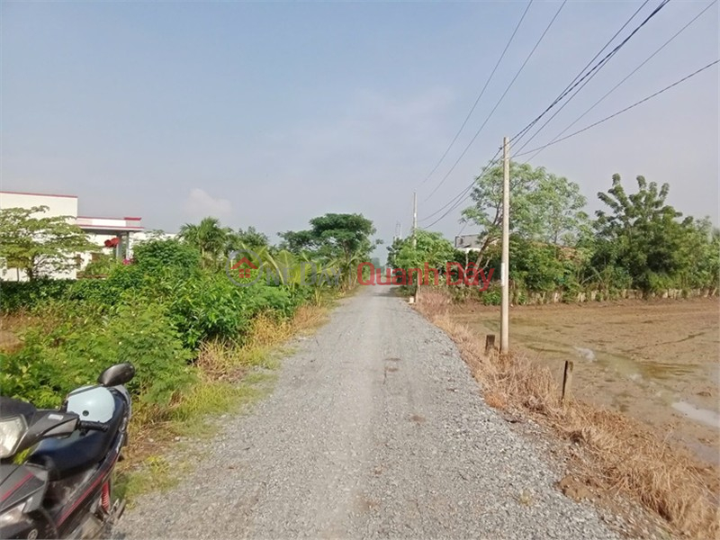 Cần Bán Đất Nền Thổ Cư 200m2 CHỈ VỚI 1,4 tỷ tại Xã Tân Lân, Huyện Cần Đước, Long An. | Việt Nam Bán đ 1,4 tỷ