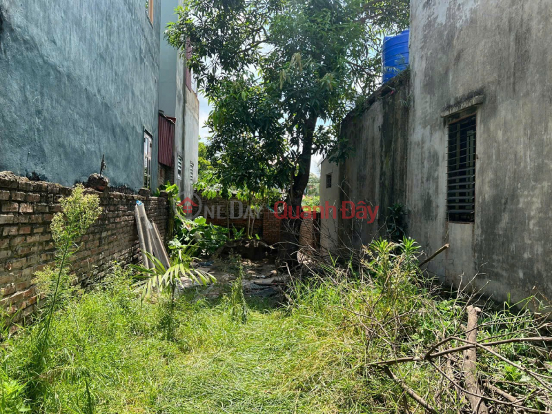 đ 10 Million, BEAUTIFUL LAND - GOOD PRICE - URGENTLY SELLING A PLOT OF POTENTIAL LAND AT Ngoc Lap STREET - Hung Yen