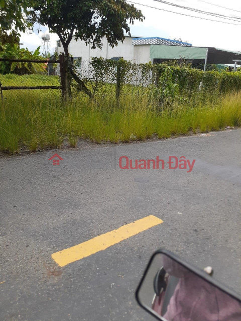 Own a SUPER BEAUTIFUL LAND LOT INVESTMENT PRICE In Tay Ninh City, Tay Ninh. _0