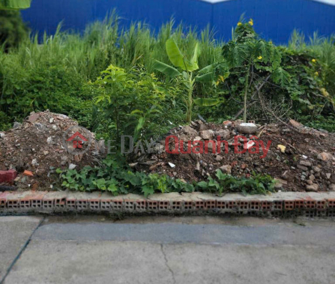 Beautiful square land, Truck alley 100m2 - Thanh Xuan 47, District 12 _0