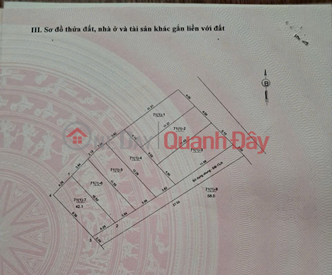 FOR SALE: 42 m2 LAND IN NGOC DONG – BAT TRANG, FRONTAGE 4.3M, ONLY 3.3 BILLION VND, CONTACT 0985865658 _0