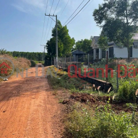 OWN A Beautiful Plot Of Land NOW In Vinh An Town, Vinh Cuu District, Dong Nai _0