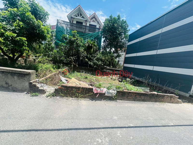 Property Search Vietnam | OneDay | Residential Sales Listings ONLY 5.5 BILLION VND – OWN THIS BEAUTIFUL 73 m2 PLOT OF LAND IN DONG DU, GIA LAM – EXTREMELY RARE 8M FRONTAGE