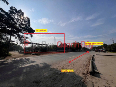 BÁN LÔ ĐẤT TRỤC CHÍNH KINH DOANH 537M TẠI NÚI SÁO-MỸ LƯƠNG-CHƯƠNG MỸ-HÀ NỘI _0