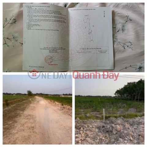 OWNER Sells 3 Adjacent Lots in Long Giang Commune, Ben Cau District, Tay Ninh _0