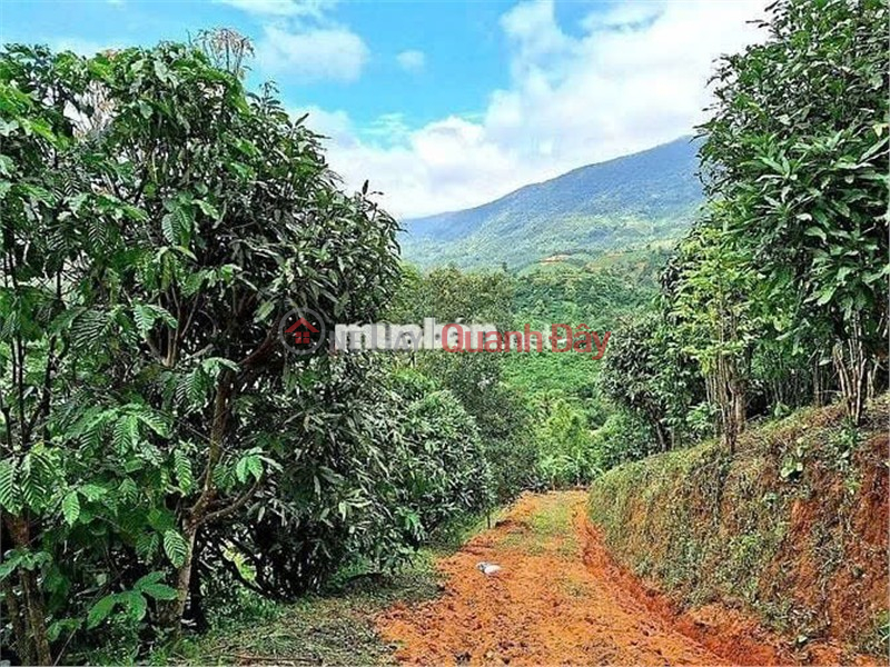  | Please Select, Residential | Sales Listings đ 4.2 Billion