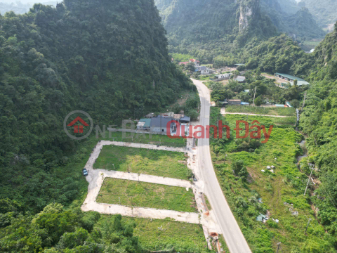 HÀNG HIẾM MẶT TỈNH LỘ 12B: VỪA NGHỈ DƯỠNG, VỪA HÁI RA TIỀN - CHỈ 4 TR/M2! _0