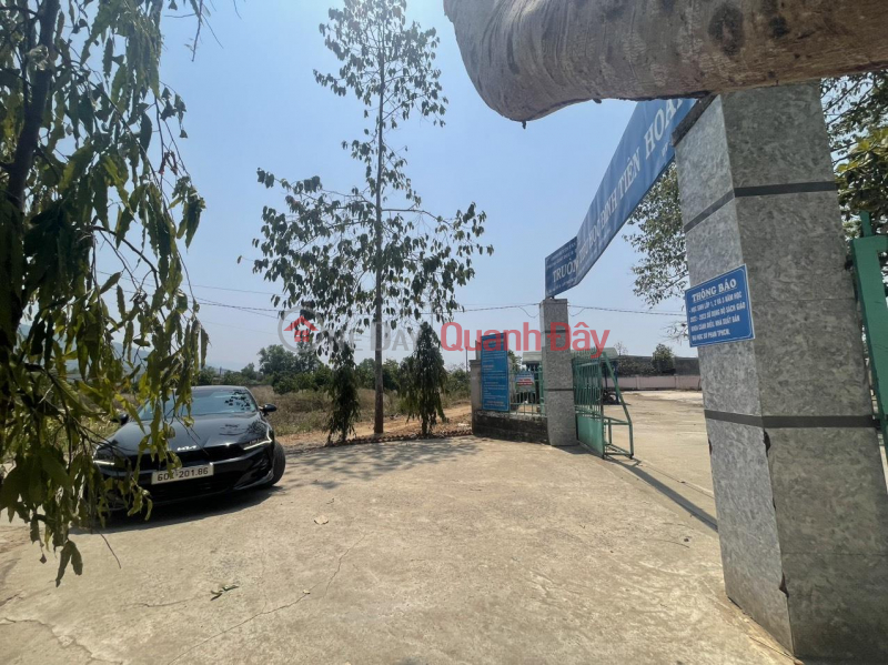 Property Search Vietnam | OneDay | Residential, Sales Listings, Owner Needs to Sell Land Plot, Beautiful Location, Phu Binh Commune, Tan Phu Town, Dong Nai