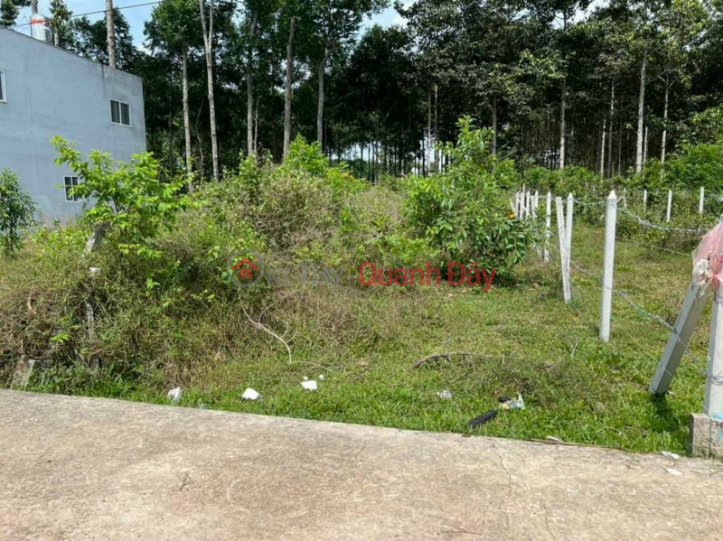 Land lot for sale in front of D3 street, Cu Chi town 100m2 5x20 Sales Listings