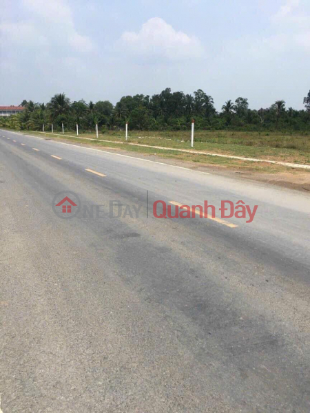 Property Search Vietnam | OneDay | Sales Listings, 4 hectares of land on the frontage of Provincial Road 878, Hung Thanh, Tan Phuoc, Tien Giang