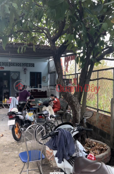 Property Search Vietnam | OneDay | Residential Sales Listings | Owner Needs to Sell Land Lot in Nice Location at No. 40, Trinh Thi Ghat Street, Tan An Hoi Commune, Cu Chi