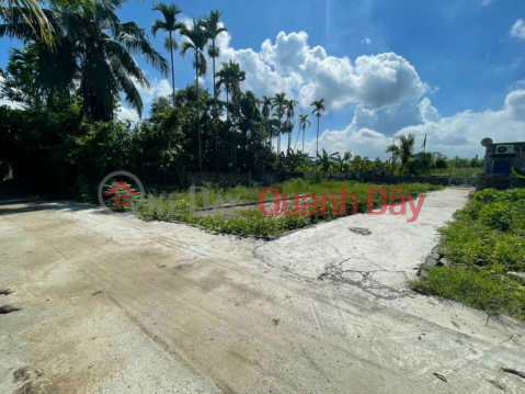 OWNER OVER THE ANGLE Plot Super Nice Location - Super Good Price In Gia Minh, Thuy Nguyen, Hai Phong. _0