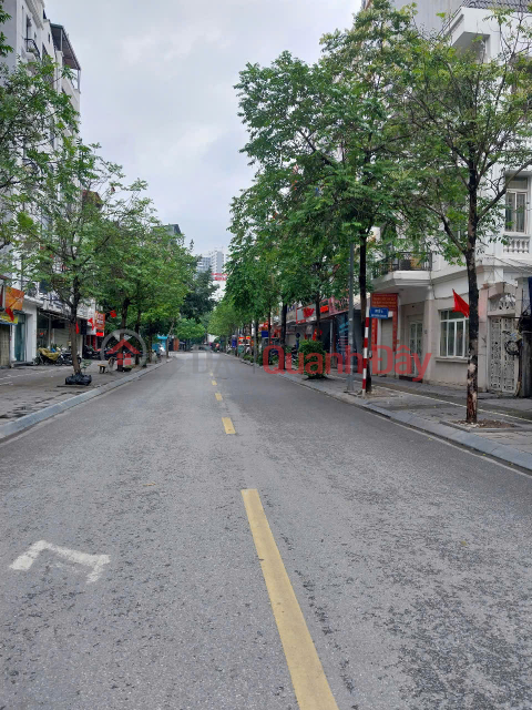 SIÊU PHẨM TRẦN THÁI TÔNG, GẦN PHỐ, GẦN CÔNG VIÊN – 40M2, 8,797 TỶ _0