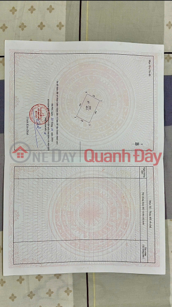 ONLY 1 PLOT AVAILABLE!!! House in the 918 Phuc Dong area, 40m x 5m, investment price! Vietnam Sales | đ 12.8 Billion