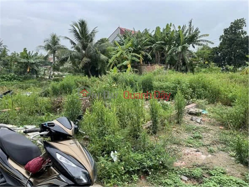 | Làm ơn chọn, Nhà ở, Niêm yết bán đ 1,45 tỷ