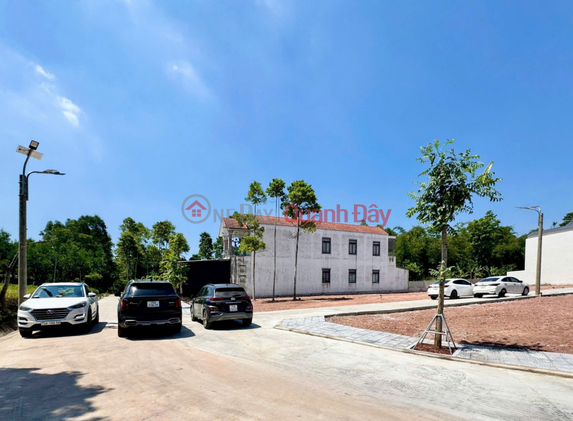 PLOT OF LAND NEAR NGUYEN HOANG BRIDGE - BUI THI XUAN ALLEY - PRICE only 1.5x billion VND (x is a small number) Sales Listings