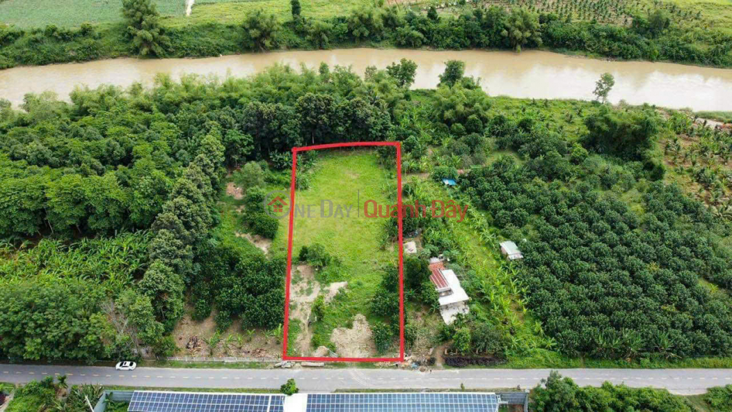 Land located on Provincial Road 2, Dien Tho Commune, Dien Khanh District, Khanh Hoa Province - Land with existing fruit orchard. | Vietnam Sales đ 12.56 Billion