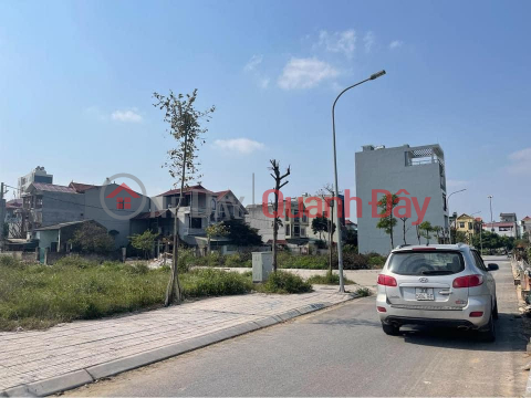 Land for sale at Hau Oai auction, Uy No Dong Anh commune, top business street surface _0