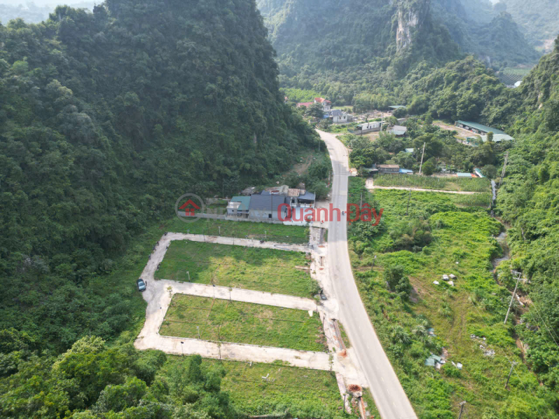 RARE PROPERTY ON PROVINCIAL ROAD 12B: PERFECT FOR BOTH RELAXATION AND INVESTMENT - ONLY 4 MILLION VND\\/M2! Sales Listings