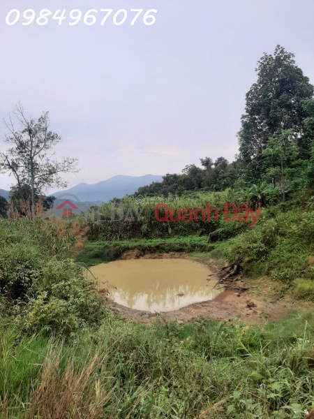 Selling 1.5 2.0 hectares of land with beautiful view, high profit, lots of potential in Loc Thanh, Bao Lam Vietnam, Sales, đ 9.5 Billion