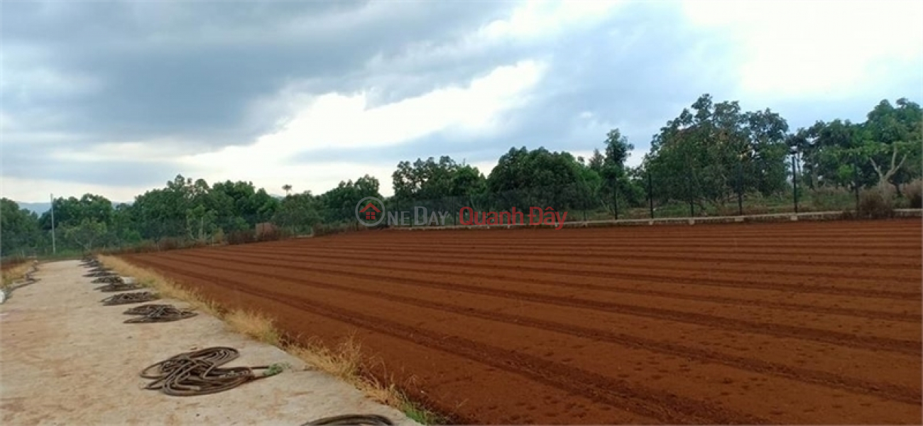 1.6ha industrial land for sale for 50 years in Song Mai Commune, Bac Giang City, Vietnam Sales đ 190 Million