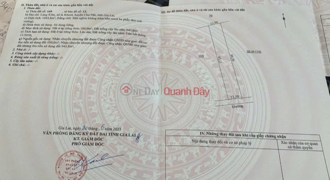Property Search Vietnam | OneDay | Residential | Sales Listings | BEAUTIFUL LAND - GOOD PRICE - URGENT SALE Potential land lot in Klen Village, Ia Khuol Commune, Chu Pah, Gia Lai.