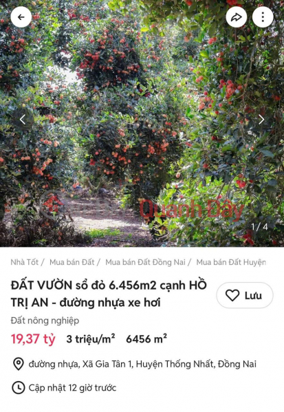 BEAUTIFUL LAND - PROFITABLE INVESTMENT - Owner Sells Land Plot Next to Tri An Lake, Gia Tan 1 Commune, Thong Nhat, Vietnam | Sales, đ 19.37 Billion
