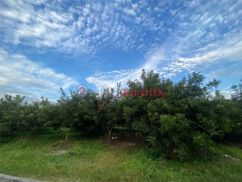 ĐẦU TƯ SINH LỜI – CHÍNH CHỦ CẦN BÁN ĐẤT Tại Xã Trường Đông, thị xã Hòa Thành, tỉnh Tây Ninh Niêm yết bán