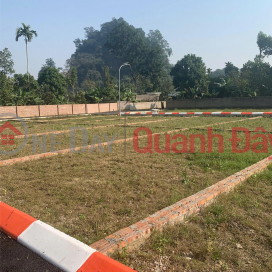 Land plots in Hoa Binh - a safe choice for idle funds. _0