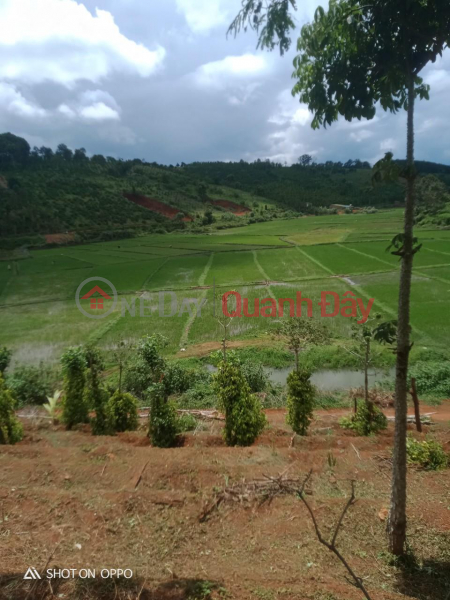 BEAUTIFUL LAND - GOOD PRICE - Land Lot For Sale Road Front Location In Thuan An Commune, Dak Mil District, Dak Nong Sales Listings